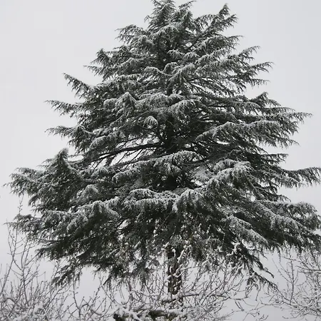 Risoturismo-quinta Pias - Farm