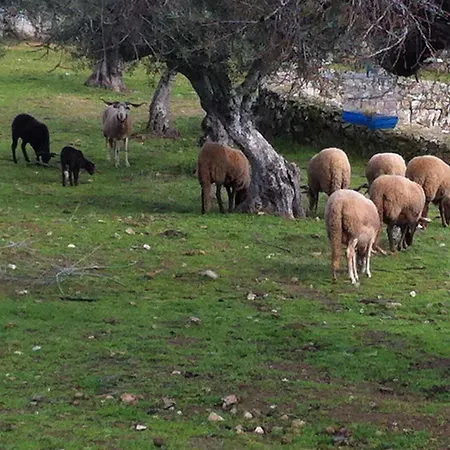 팜스테이 Risoturismo-quinta Pias - Farm *