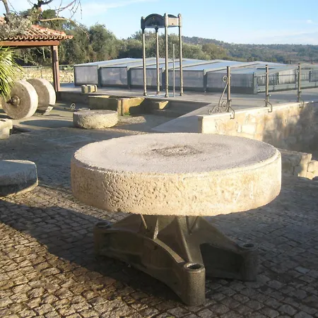 Alojamento de Turismo Rural Quinta Pias - Farm