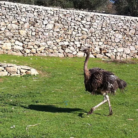 Quinta Pias - Farm * Pinhel