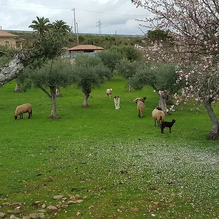 Quinta Pias - Farm *