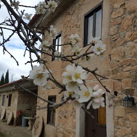 팜스테이 Risoturismo-quinta Pias - Farm