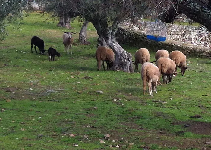 Séjour à la ferme Risoturismo-quinta Pias - Farm *