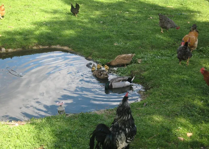 Risoturismo-quinta Pias - Farm Pinhel