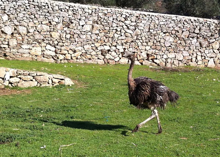 Risoturismo-quinta Pias - Farm * 皮涅尔