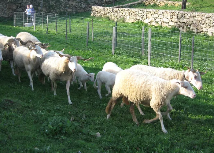 Risoturismo-quinta Pias - Farm * 皮涅尔