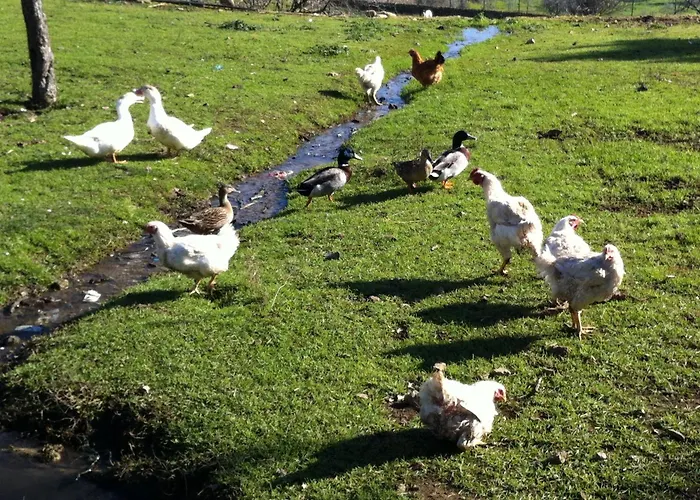 Risoturismo-quinta Pias - Farm *