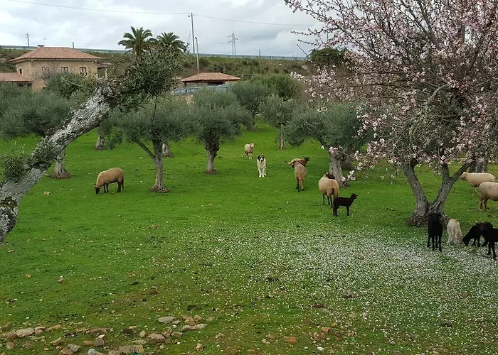 Risoturismo-quinta Pias - Farm *