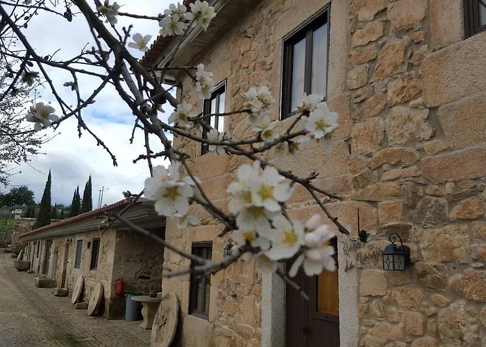 农家乐 Risoturismo-quinta Pias - Farm